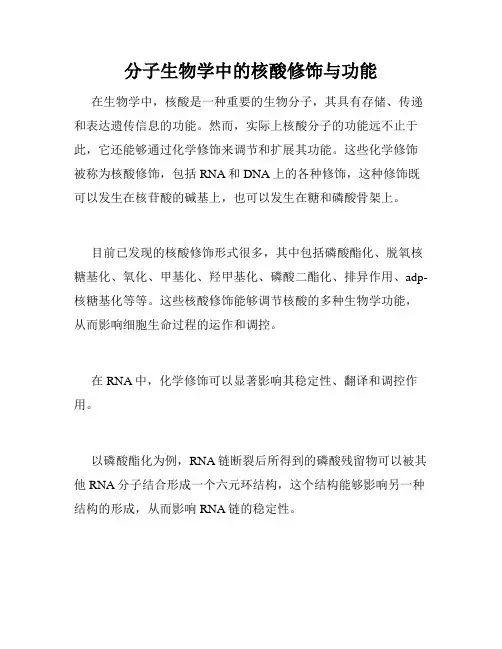 分子生物学中的核酸修饰与功能