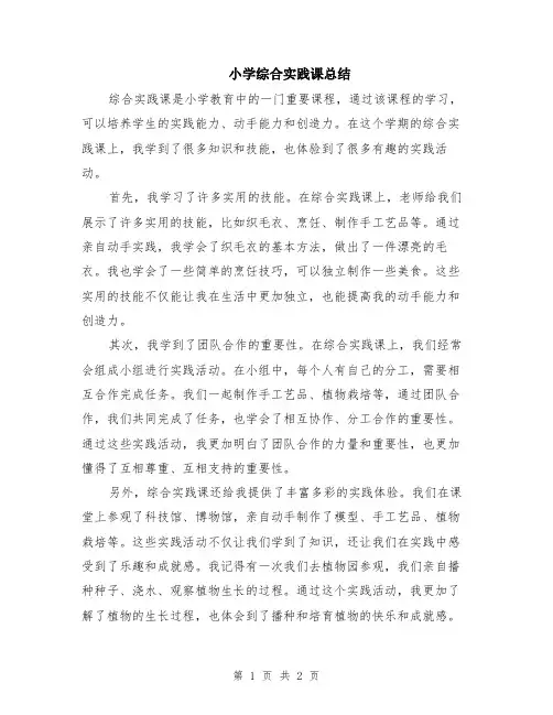 小学综合实践课总结