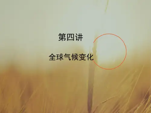 2020年高考地理一轮复习课件-第二章 地球上的大气 2-4