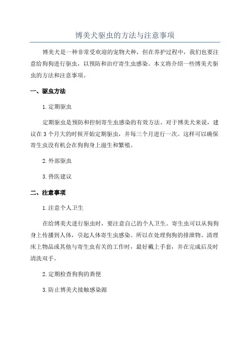 博美犬驱虫的方法与注意事项