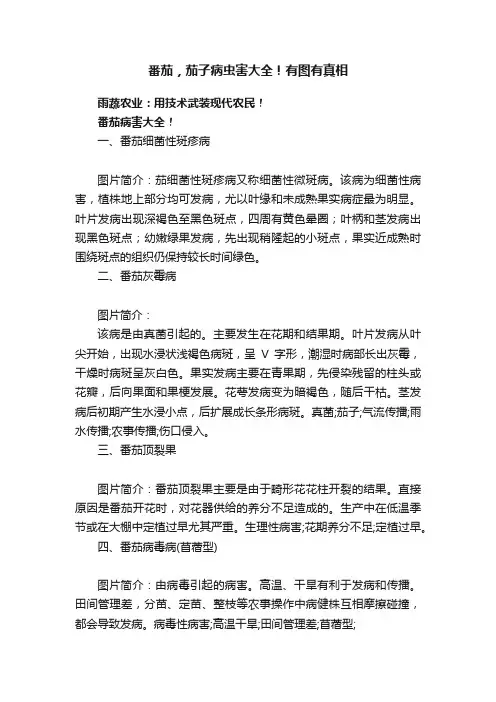 番茄，茄子病虫害大全！有图有真相