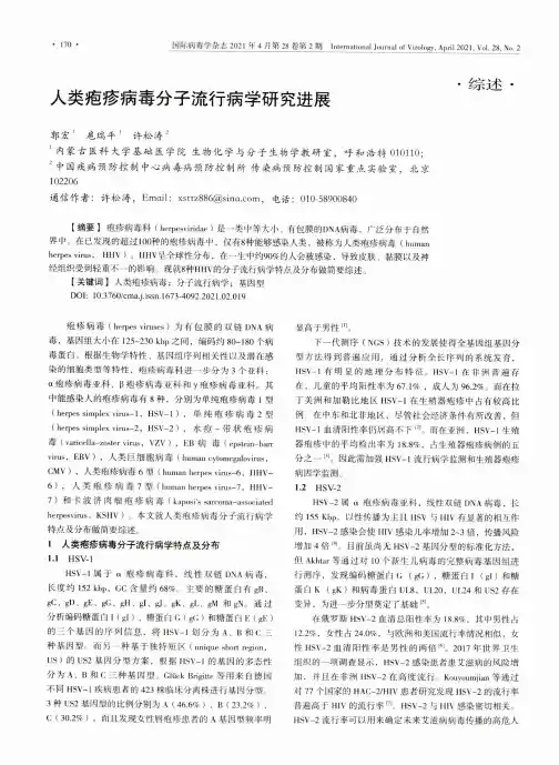 人类疱疹病毒分子流行病学研究进展