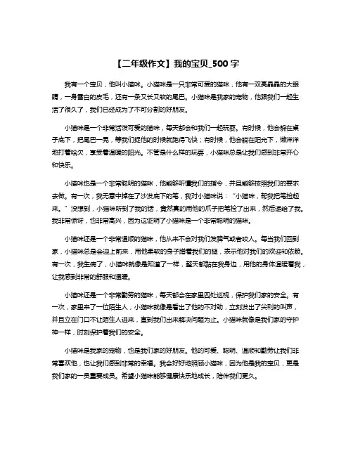 【二年级作文】我的宝贝_500字