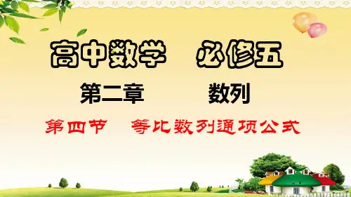 第4节  等比数列通项公式