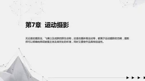 手机摄影教程 第7章  运动摄影
