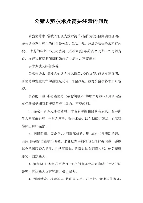 公猪去势技术及需要注意问题