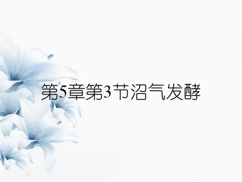 第5章第3节沼气发酵