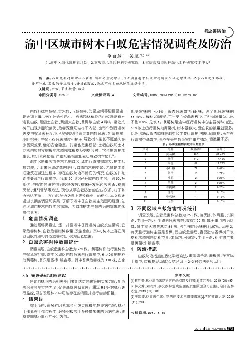 渝中区城市树木白蚁危害情况调查及防治