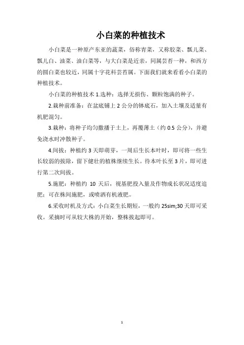 小白菜的种植技术