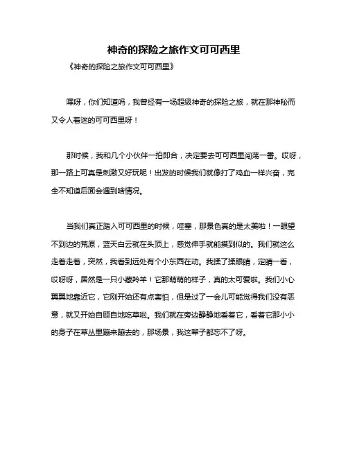 神奇的探险之旅作文可可西里