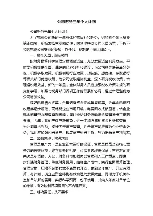公司财务三年个人计划