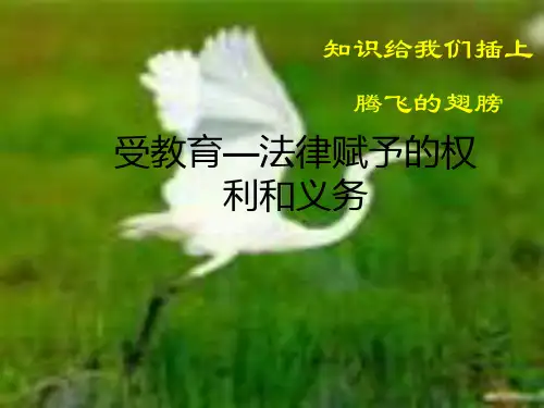 受教育-法律赋予的权利和义务PPT课件