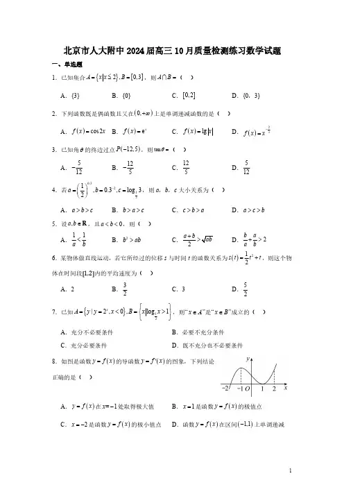 北京市人大附中2024届高三10月质量检测练习数学试题及答案