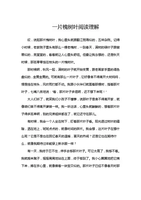 一片槐树叶阅读理解