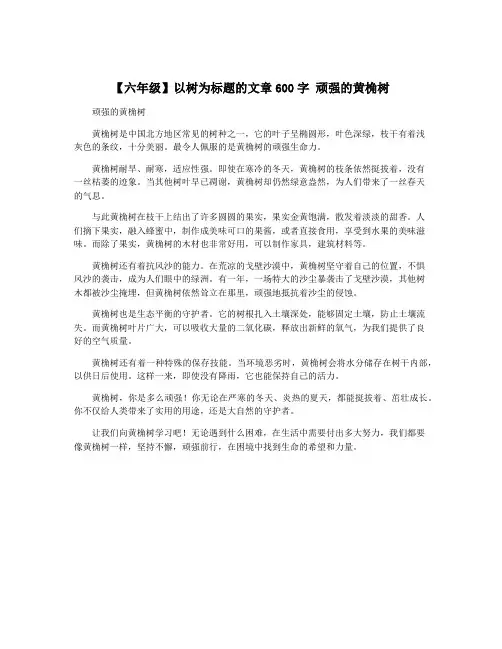 【六年级】以树为标题的文章600字 顽强的黄桷树