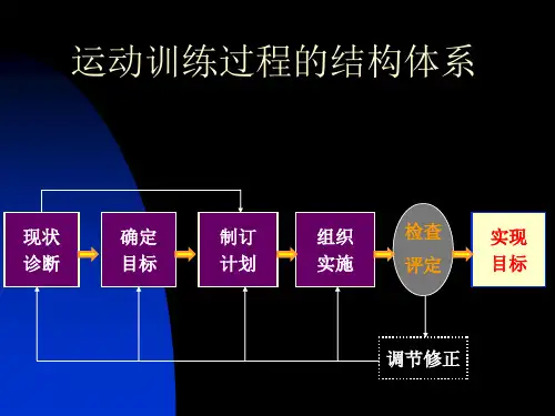 运动训练过程的结构体系--