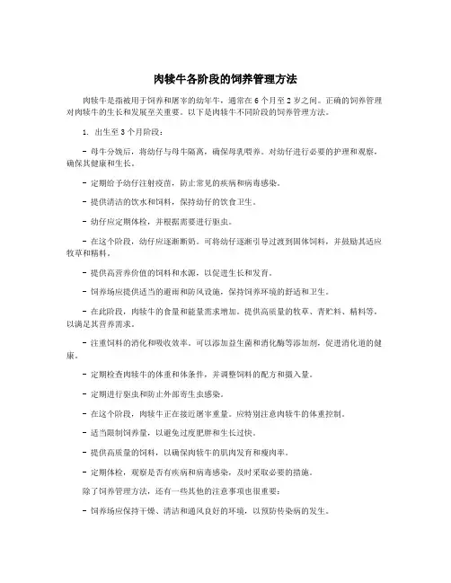 肉犊牛各阶段的饲养管理方法