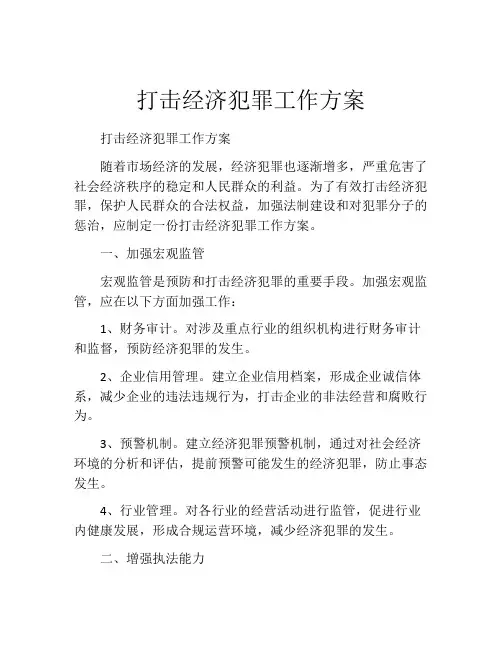 打击经济犯罪工作方案