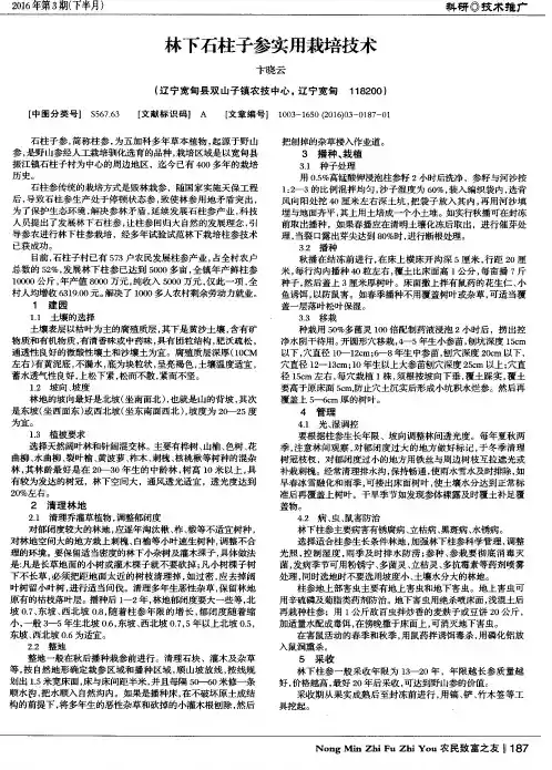林下石柱子参实用栽培技术
