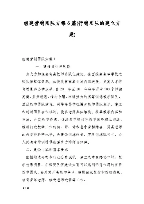 组建营销团队方案6篇(行销团队的建立方案)