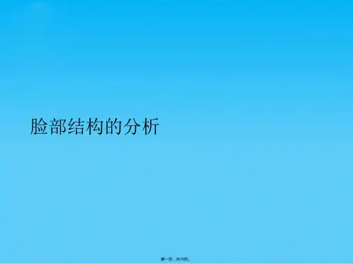 脸部结构的分析(共10张PPT)
