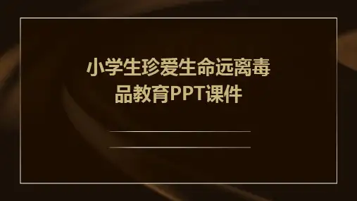 小学生珍爱生命远离毒品教育PPT课件