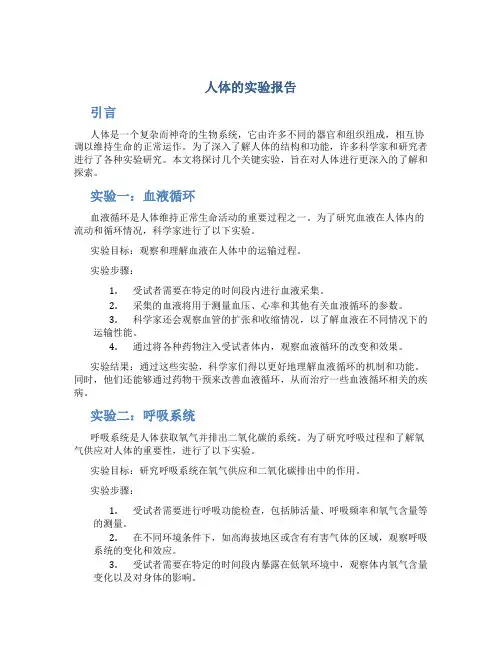 人体的实验报告