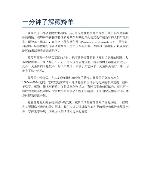 一分钟了解藏羚羊