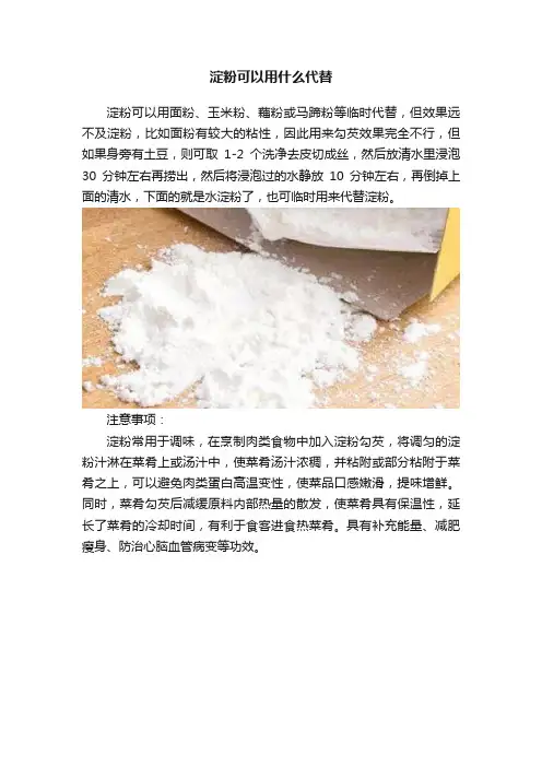 淀粉可以用什么代替