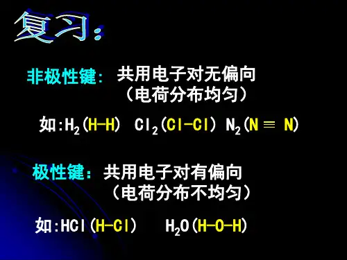 6键的极性与分子的极性
