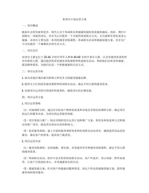 某项目计划运营方案
