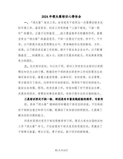 2024年领头雁培训心得体会(四篇)