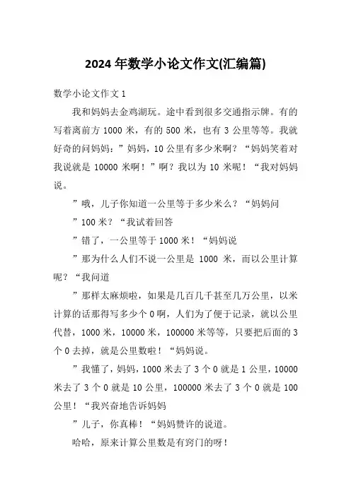 2024年数学小论文作文(汇编篇)1