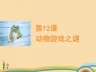 高二语文动物游戏之谜PPT优秀课件