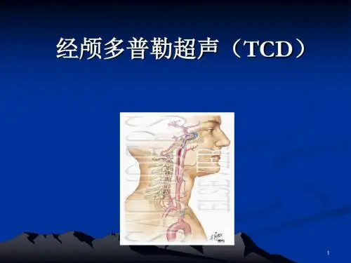 经颅多普勒(TCD)讲解PPT精选课件