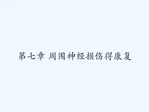 第七章-周围神经损伤得康复-PPT