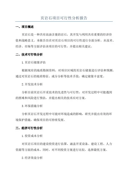 页岩石项目可行性分析报告