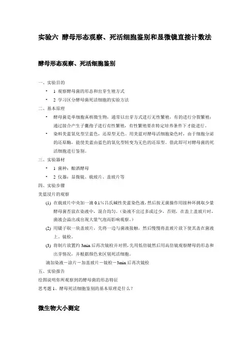 实验六酵母菌观察