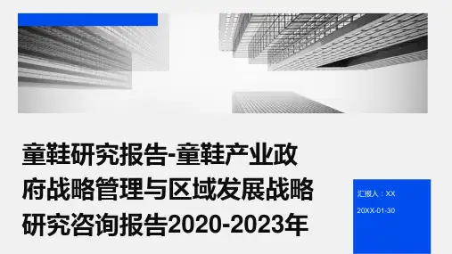 童鞋研究报告-童鞋产业政府战略管理与区域发展战略研究咨询报告2020-2023年