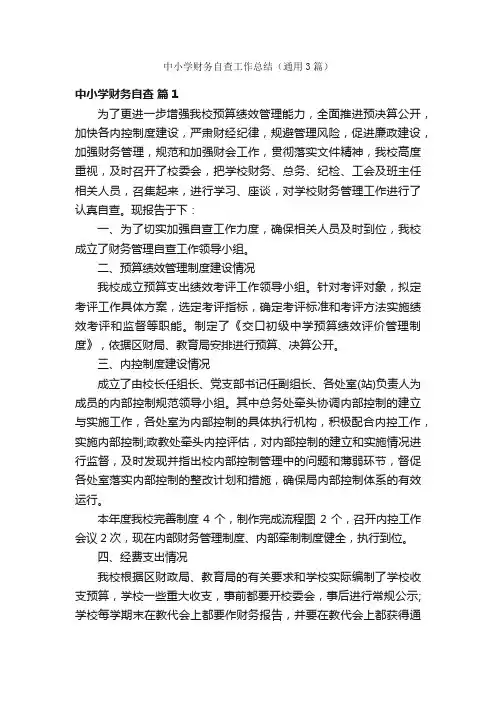 中小学财务自查工作总结（通用3篇）