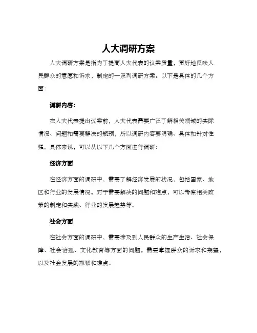 人大调研方案