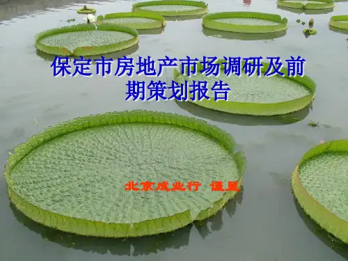 保定房地产市场研究144112325(精)