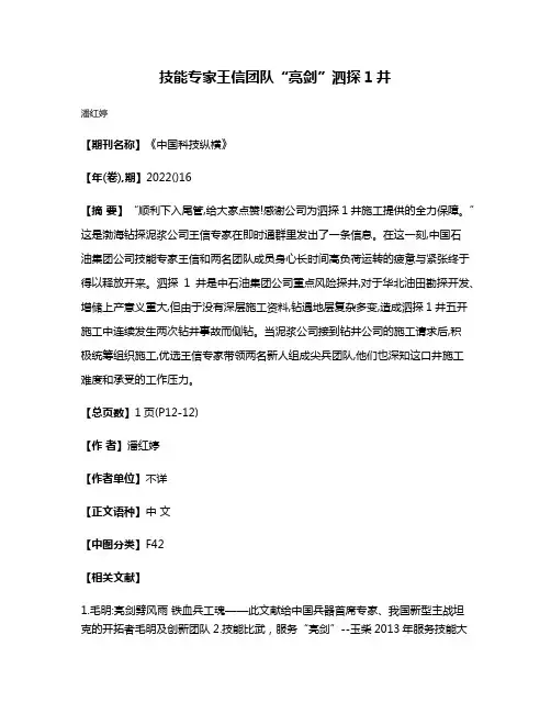 技能专家王信团队“亮剑”泗探1井