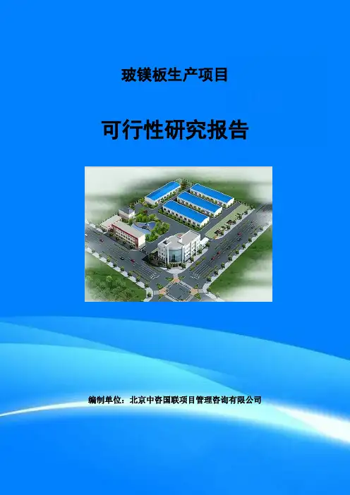 玻镁板生产项目可行性研究报告(目录)