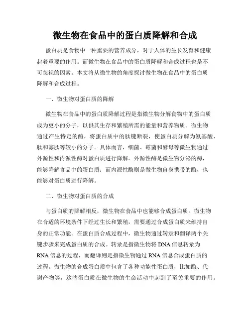 微生物在食品中的蛋白质降解和合成