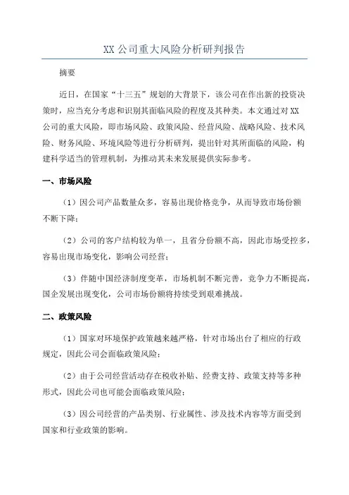 XX公司重大风险分析研判报告