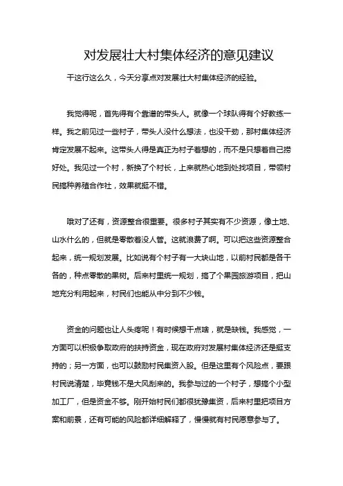 对发展壮大村集体经济的意见建议