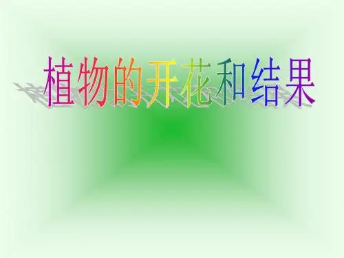 人教版初中生物八年级下册《植物的开花和结果》课件