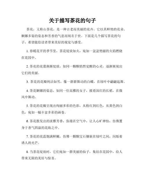 关于描写茶花的句子