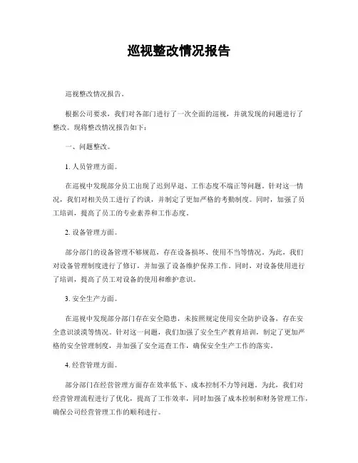 巡视整改情况报告